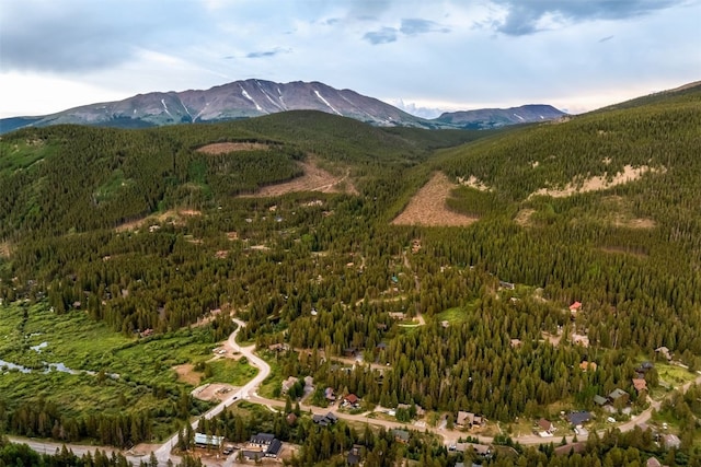 89 Wilderness Dr, Breckenridge, CO 80424 - view of mountain background with a heavily wooded area