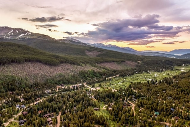 89 Wilderness Dr, Breckenridge, CO 80424 - view of mountain backdrop with a forest
