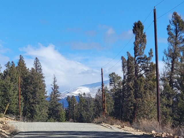 1333 Middle Fork Vis, Fairplay, CO 80440