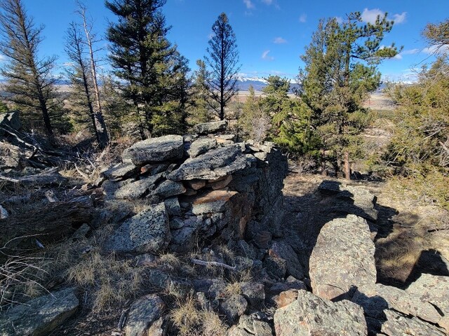 1333 Middle Fork Vis, Fairplay, CO 80440