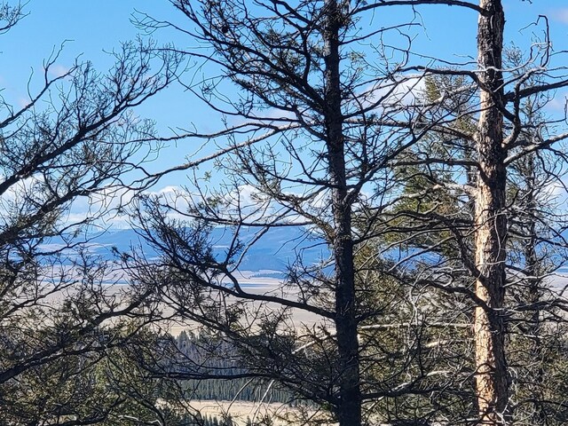 1333 Middle Fork Vis, Fairplay, CO 80440