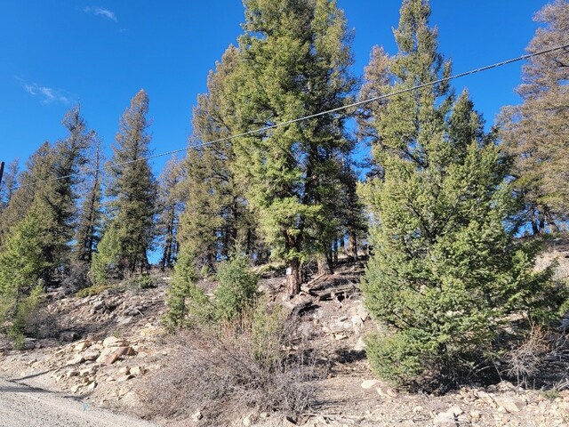 1333 Middle Fork Vis, Fairplay, CO 80440