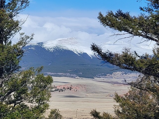 1333 Middle Fork Vis, Fairplay, CO 80440