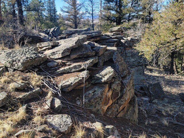 1333 Middle Fork Vis, Fairplay, CO 80440