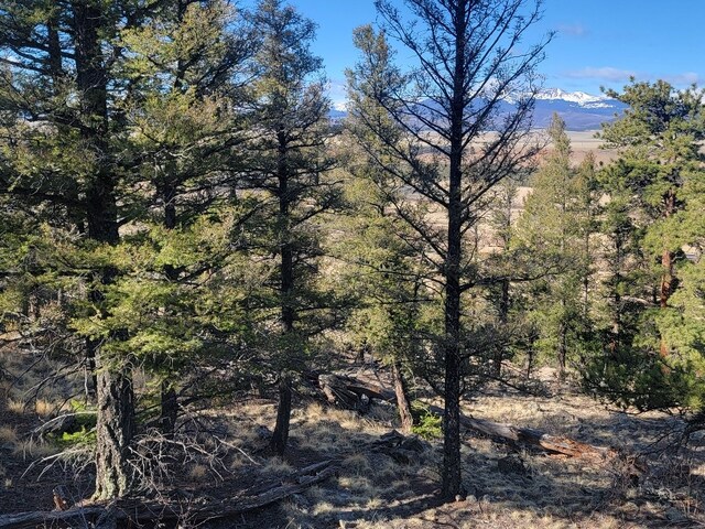 1333 Middle Fork Vis, Fairplay, CO 80440