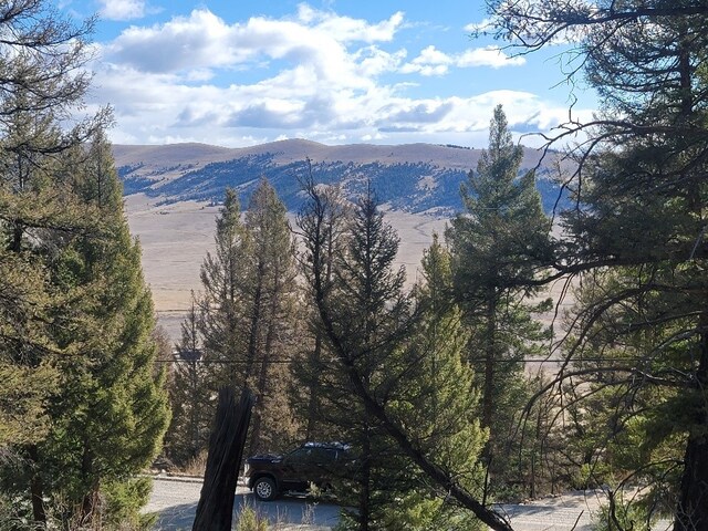 1333 Middle Fork Vis, Fairplay, CO 80440