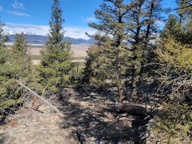 1333 Middle Fork Vis, Fairplay, CO 80440