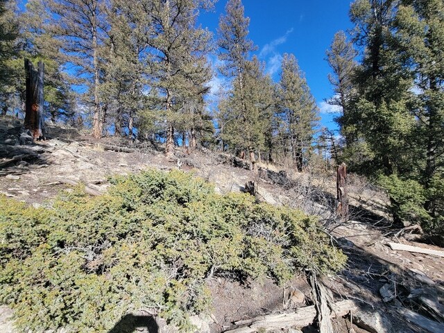 1333 Middle Fork Vis, Fairplay, CO 80440
