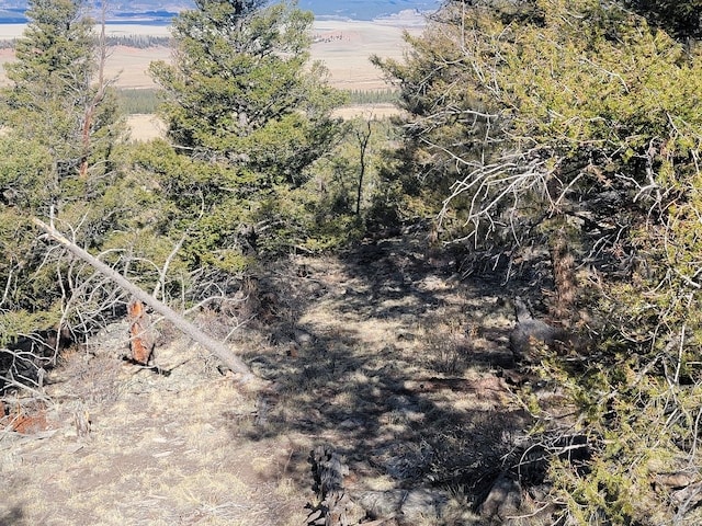 1333 Middle Fork Vis, Fairplay, CO 80440