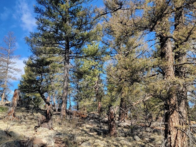 1333 Middle Fork Vis, Fairplay, CO 80440
