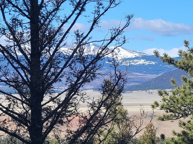 1333 Middle Fork Vis, Fairplay, CO 80440