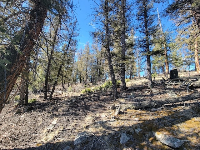 1333 Middle Fork Vis, Fairplay, CO 80440