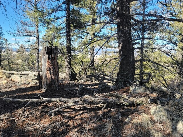 1333 Middle Fork Vis, Fairplay, CO 80440
