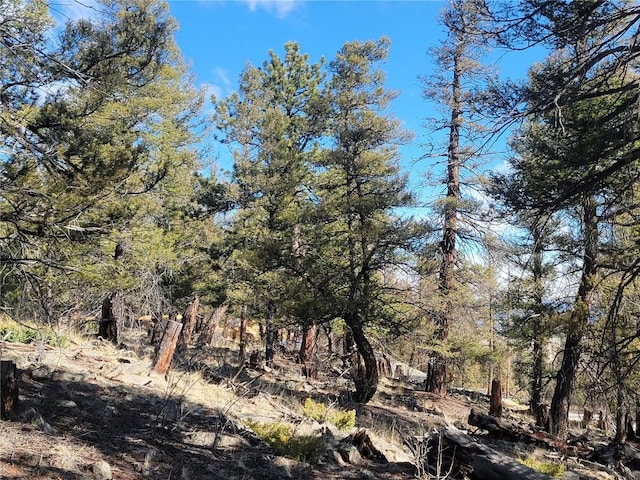 1333 Middle Fork Vis, Fairplay, CO 80440