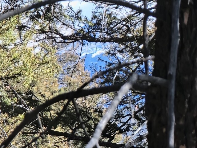 1333 Middle Fork Vis, Fairplay, CO 80440