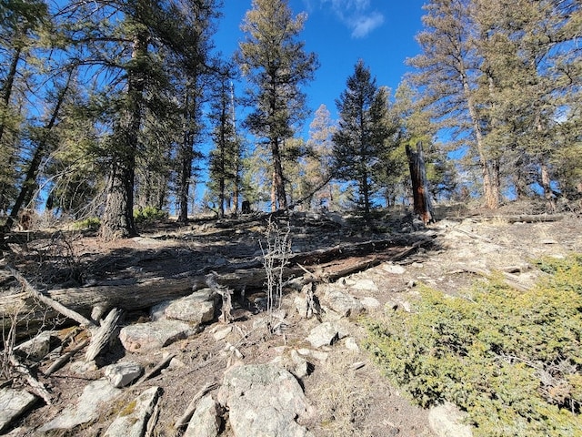 1333 Middle Fork Vis, Fairplay, CO 80440