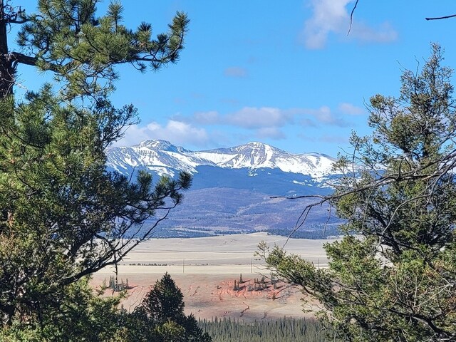 1333 Middle Fork Vis, Fairplay, CO 80440