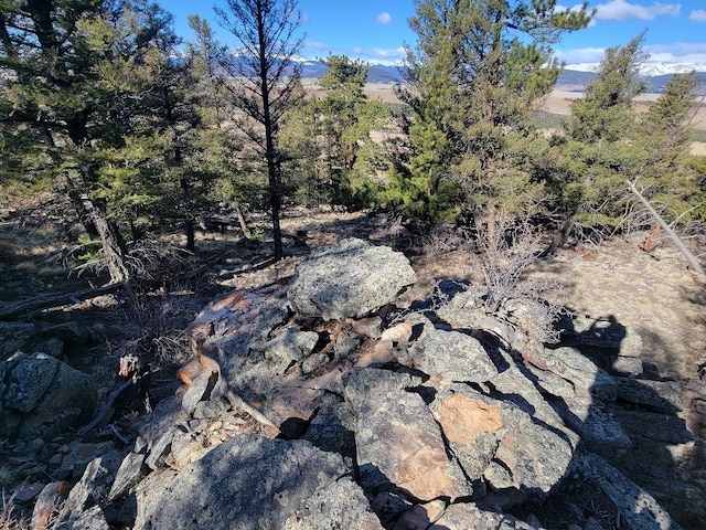 1333 Middle Fork Vis, Fairplay, CO 80440