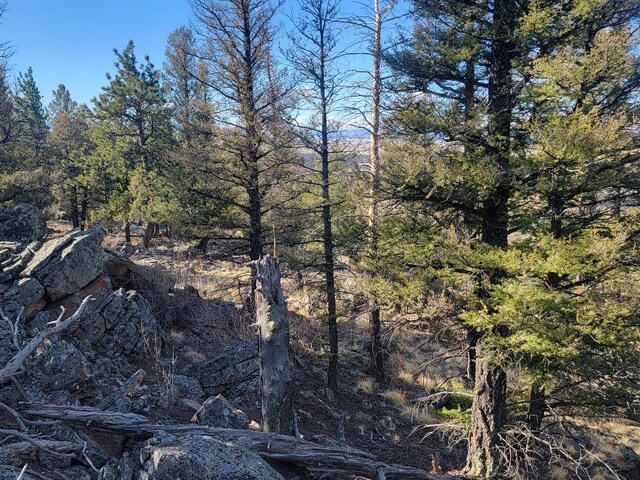 1333 Middle Fork Vis, Fairplay, CO 80440