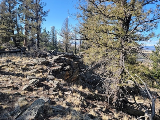 1333 Middle Fork Vis, Fairplay, CO 80440