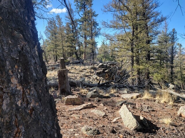 1333 Middle Fork Vis, Fairplay, CO 80440