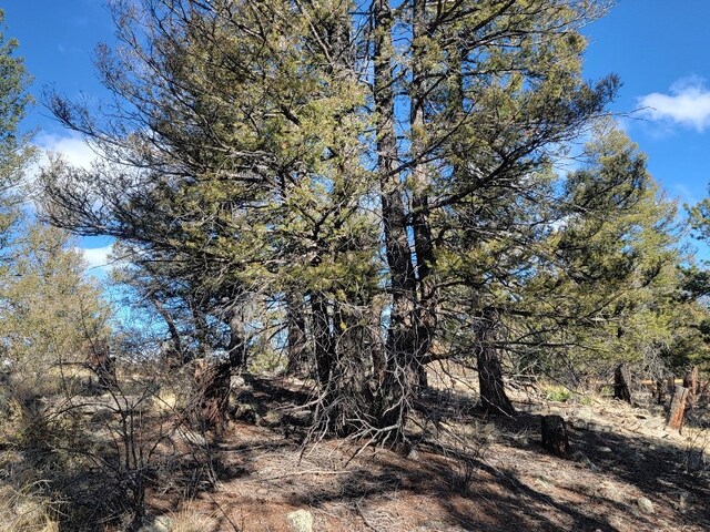 1333 Middle Fork Vis, Fairplay, CO 80440