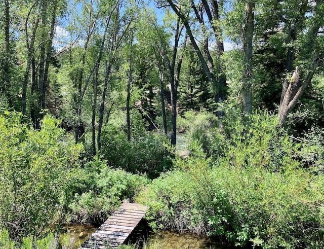 192 Johnson Rd, Silverthorne, CO 80498 - view of surrounding community