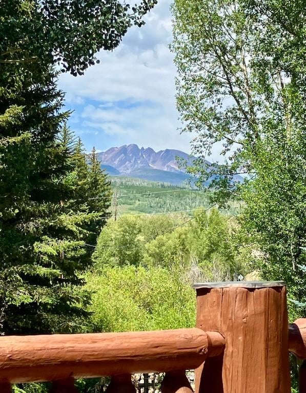192 Johnson Rd, Silverthorne, CO 80498 - mountain view