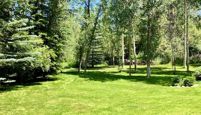 192 Johnson Rd, Silverthorne, CO 80498 - view of grassy yard