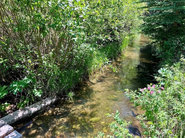 192 Johnson Rd, Silverthorne, CO 80498 - view of nature