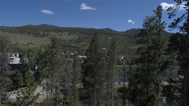 0125 Lake Ridge Cir Unit 1867, Keystone, CO 80435 - mountain view featuring a view of trees