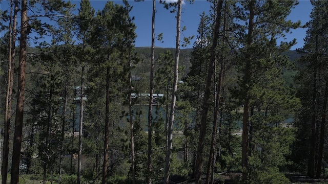 0125 Lake Ridge Cir Unit 1867, Keystone, CO 80435 - view of mountain feature featuring a wooded view