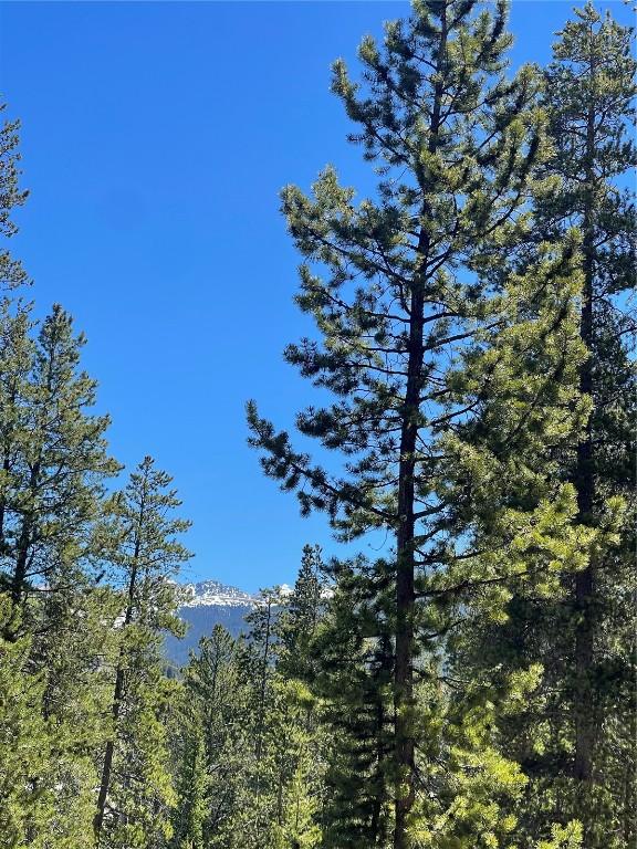 0125 Lake Ridge Cir Unit 1867, Keystone, CO 80435 - view of mountain feature with a wooded view