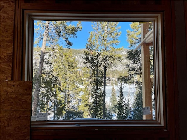 0125 Lake Ridge Cir Unit 1867, Keystone, CO 80435 - view of details