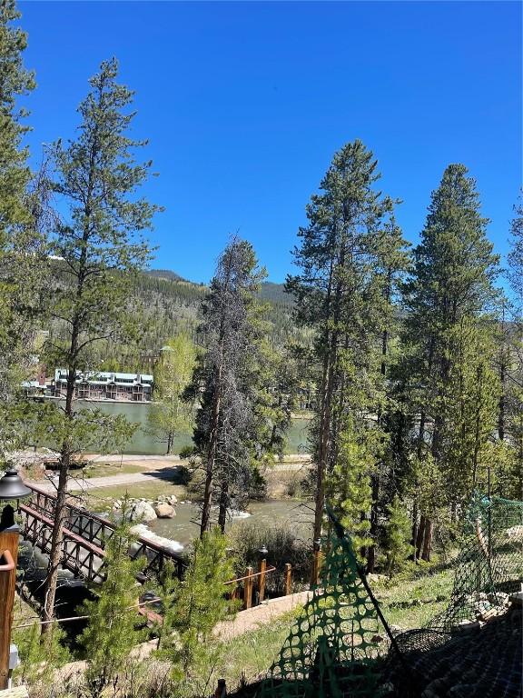 0125 Lake Ridge Cir Unit 1867, Keystone, CO 80435 - view of mountain feature