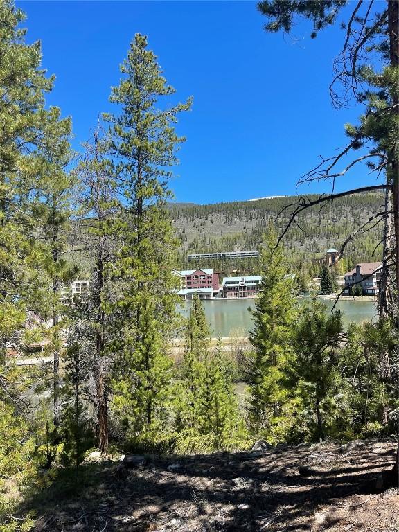 0125 Lake Ridge Cir Unit 1867, Keystone, CO 80435 - property view of water featuring a wooded view