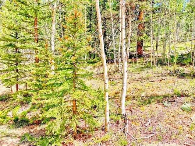 224 Apache Trl, Como, CO 80432