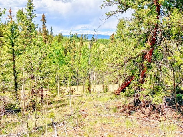 224 Apache Trl, Como, CO 80432
