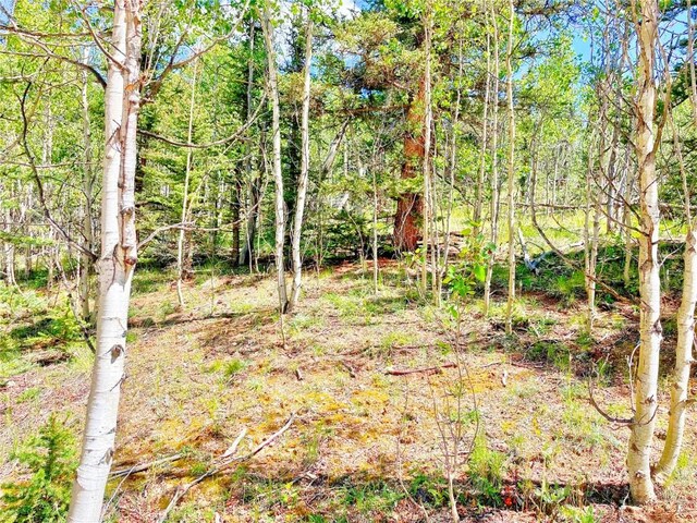 224 Apache Trl, Como, CO 80432