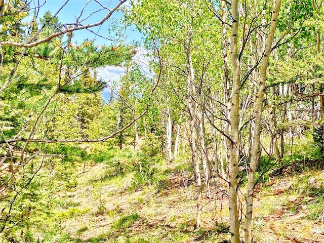 224 Apache Trl, Como, CO 80432
