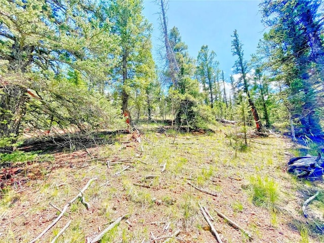 224 Apache Trl, Como, CO 80432