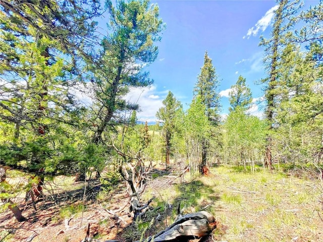 224 Apache Trl, Como, CO 80432