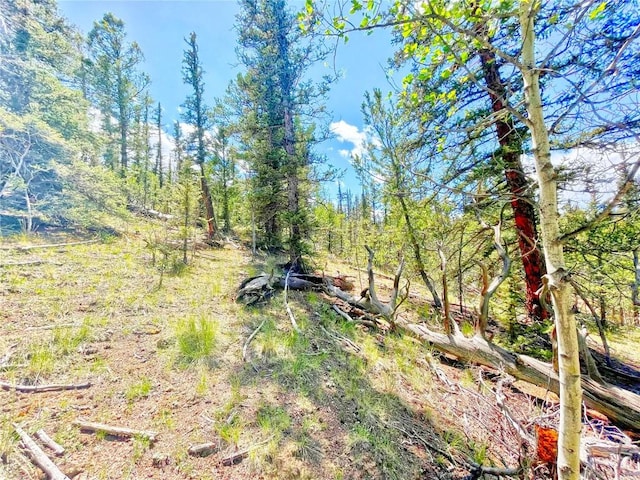 224 Apache Trl, Como, CO 80432