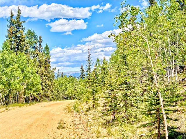 224 Apache Trl, Como, CO 80432