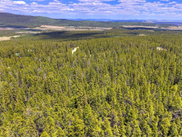 2221 Kootchie Kootchie Rd, Alma, CO 80420 - photo 12