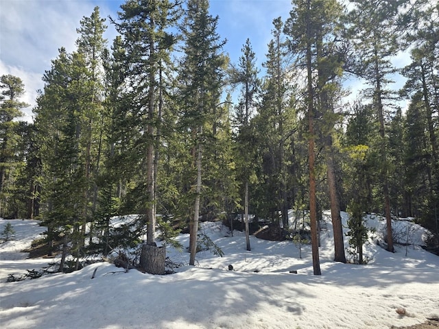 2221 Kootchie Kootchie Rd, Alma, CO 80420