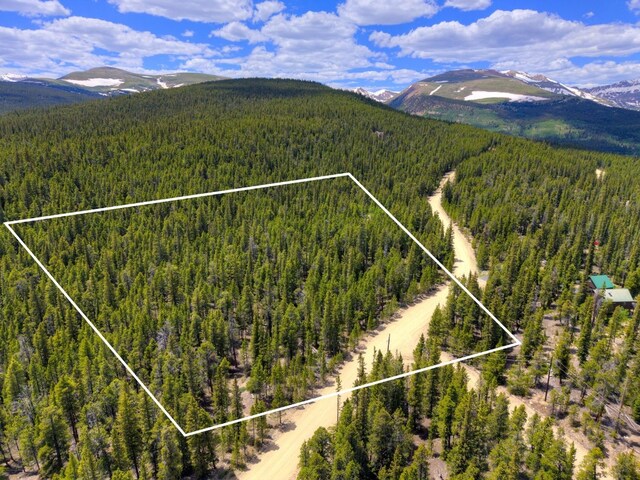 2221 Kootchie Kootchie Rd, Alma, CO 80420 - photo 3