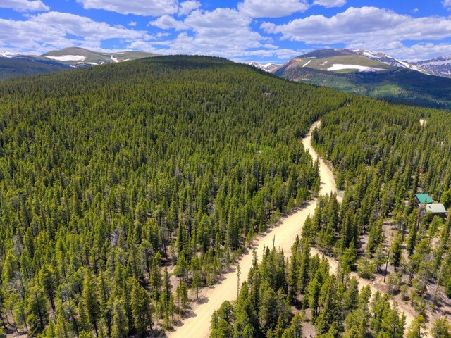 2221 Kootchie Kootchie Rd, Alma, CO 80420 - photo 11