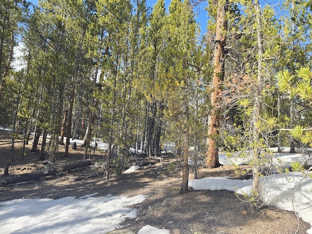 2221 Kootchie Kootchie Rd, Alma, CO 80420
