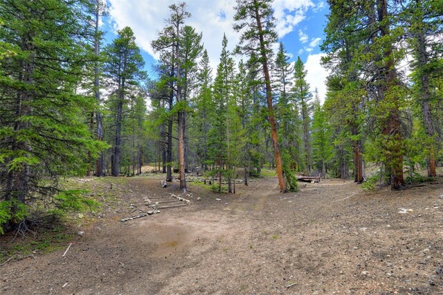 2221 Kootchie Kootchie Rd, Alma, CO 80420 - photo 6